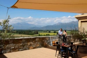 Haras Experience: Vineyard Getaway, Wine & Tastings