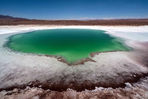 BALTINACHEN PIILOTETUT LAGUUNIT