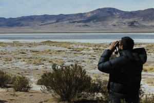 Punti salienti di Altiplano in una spedizione via terra 4WD