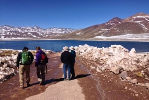 Punti salienti di Altiplano in una spedizione via terra 4WD