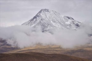 Höjdpunkter i Altiplano på en 4WD-överlandsexpedition