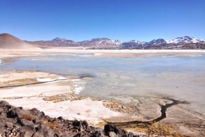 Najważniejsze atrakcje Altiplano w ekspedycji lądowej z napędem na 4 koła