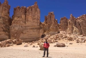 Les points forts de l'Altiplano lors d'une expédition terrestre en 4x4
