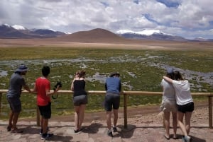 Altiplanon kohokohdat 4WD Overland Expedition -retkellä