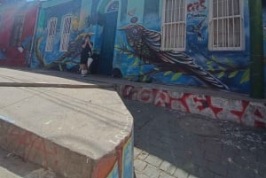 Valparaíso Storica: viaggio in barca privata + tour del centro storico