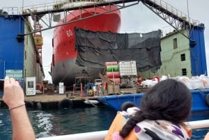 Historiske Valparaíso: Tur i privat båd + rundtur i den historiske bydel