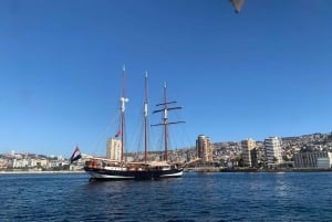 Historiske Valparaíso: Tur i privat båd + rundtur i den historiske bydel