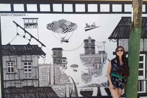 Historiske Valparaíso: Tur i privat båd + rundtur i den historiske bydel