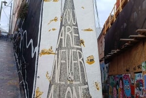 Historiske Valparaíso: Tur i privat båd + rundtur i den historiske bydel