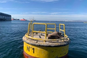Historiske Valparaíso: Tur i privat båd + rundtur i den historiske bydel