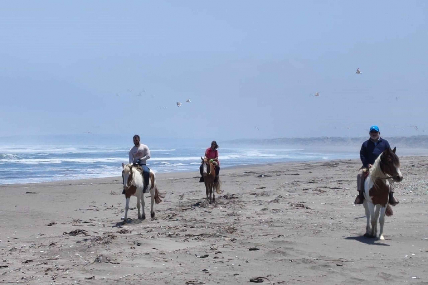 Horse Riding & Barbecue, Ritoque Sand Dunes & Beach F. Valpo