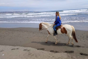 Horse Riding & Barbecue, Ritoque Sand Dunes & Beach F. Valpo