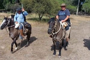 Paardrijden door de wijngaard Thompson Wineries met proeverij en combinaties