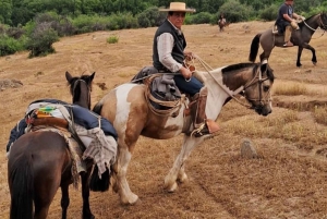 Paardrijden door de wijngaard Thompson Wineries met proeverij en combinaties