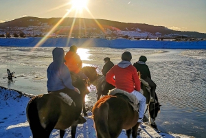 Horseback Riding near Strait of Magellan
