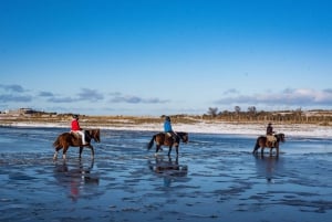 Paseos a caballo cerca del Estrecho de Magallanes
