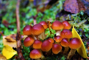 Reiten in der Nähe der Straße von Magellan