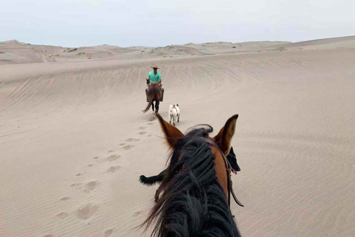 Pacific Horseback Riding on Beach & Sand Dunes