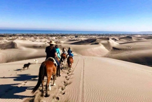 Pacific Horseback Riding on Beach & Sand Dunes