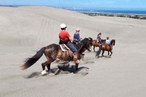 Horseback Riding on Beach & Sand Dunes and Viña del Mar Tour