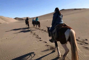 Pacific Horseback Riding on Beach & Sand Dunes