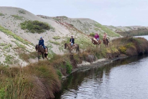 Pacific Horseback Riding on Beach & Sand Dunes