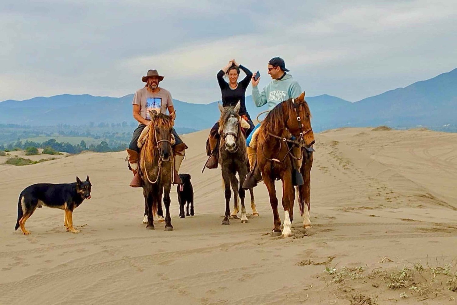Horseback riding, Penguins, Winery, Alpacas & Cowboy BBQ