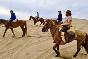 Ridning, pingviner, vingård, alpakkaer og cowboy BBQ