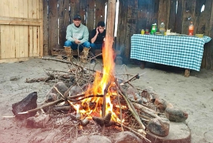 Ridning, pingviner, vingård, alpakkaer og cowboy BBQ