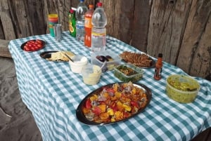Ridning, pingviner, vingård, alpakkaer og cowboy BBQ