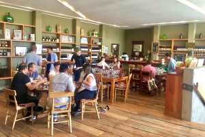 Ridning, pingviner, vingård, alpakkaer og cowboy BBQ