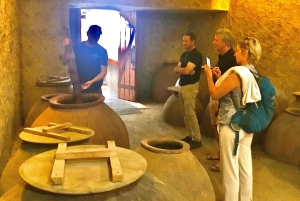 Ridning, pingviner, vingård, alpakkaer og cowboy BBQ