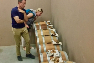 Ridning, pingviner, vingård, alpakkaer og cowboy BBQ