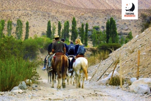 Horseback riding, river, and mountains in Pisco Elqui