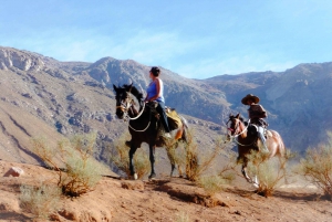 Horseback riding to the viewpoint