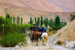 Horseback riding to the viewpoint