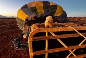 Colchagua Valley, Santa Cruz de Chile Sunrise Hot Air Balloon Ride