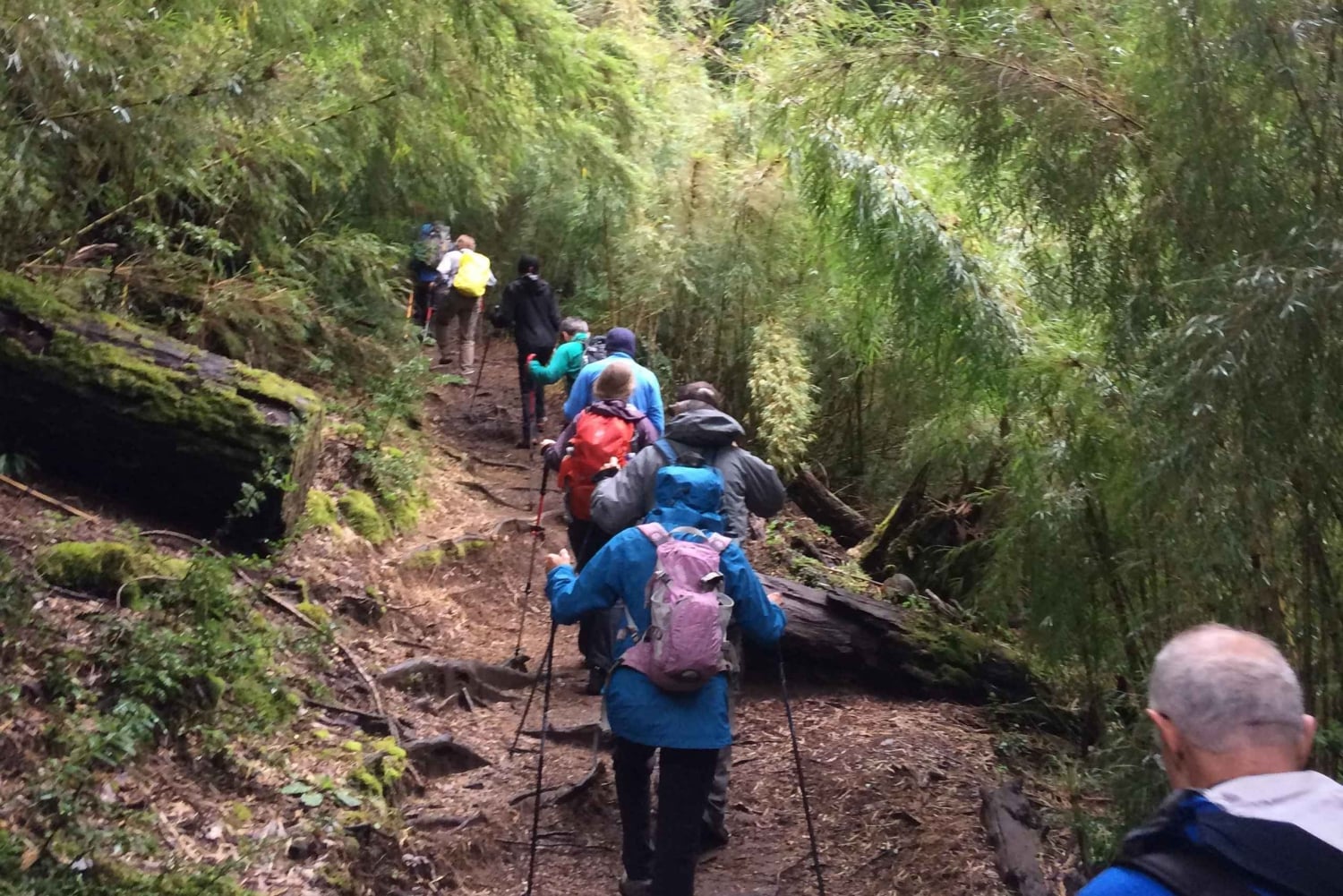 Huerquehue National Park full day
