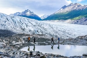 Ice hike - Grey Glacier