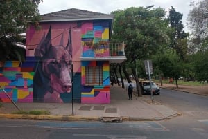 Barrio Yungay 'Identità e resistenza culturale nel cuore di Santiago'