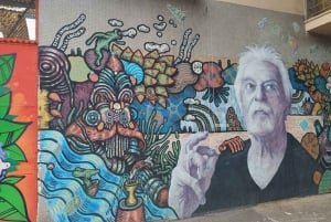 Barrio Yungay 'Identità e resistenza culturale nel cuore di Santiago'