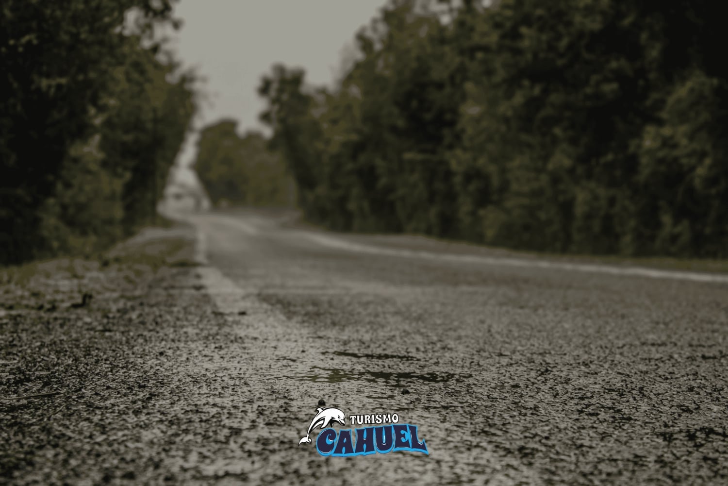 Innere Küste von Chiloé: Straße und Meer.