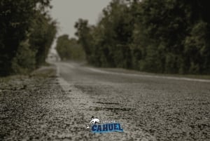 Innere Küste von Chiloé: Straße und Meer.