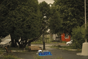 Innere Küste von Chiloé: Straße und Meer.