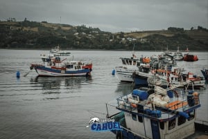 Innere Küste von Chiloé: Straße und Meer.