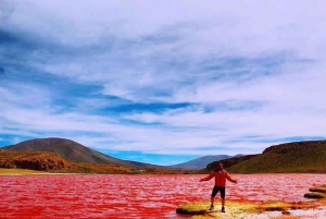 Iquique: Tour Laguna Roja