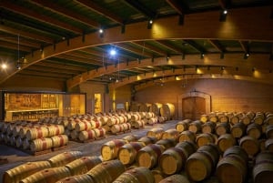 Tour de 1 día por Isla Negra, Algarrobo y el valle de Casablanca