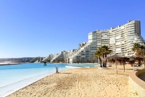 Isla Negra, Algarrobo i Dolina Wina Casablanca – wycieczka 1-dniowa