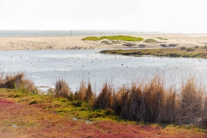 Isla Negra, Algarrobo i Dolina Wina Casablanca – wycieczka 1-dniowa