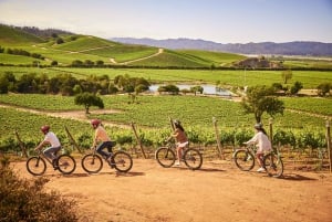 Isla Negra, Algarrobo i Dolina Wina Casablanca – wycieczka 1-dniowa